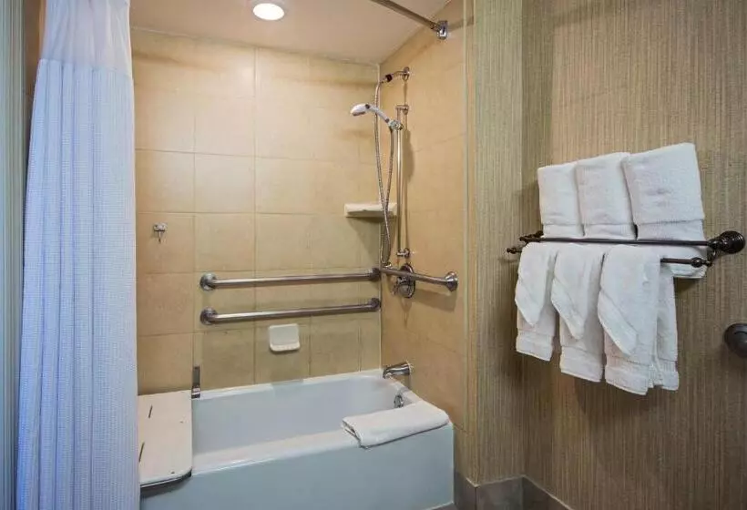 اتاق استاندارد برای معلولان, Crowne Plaza Newark Airport, An Ihg
