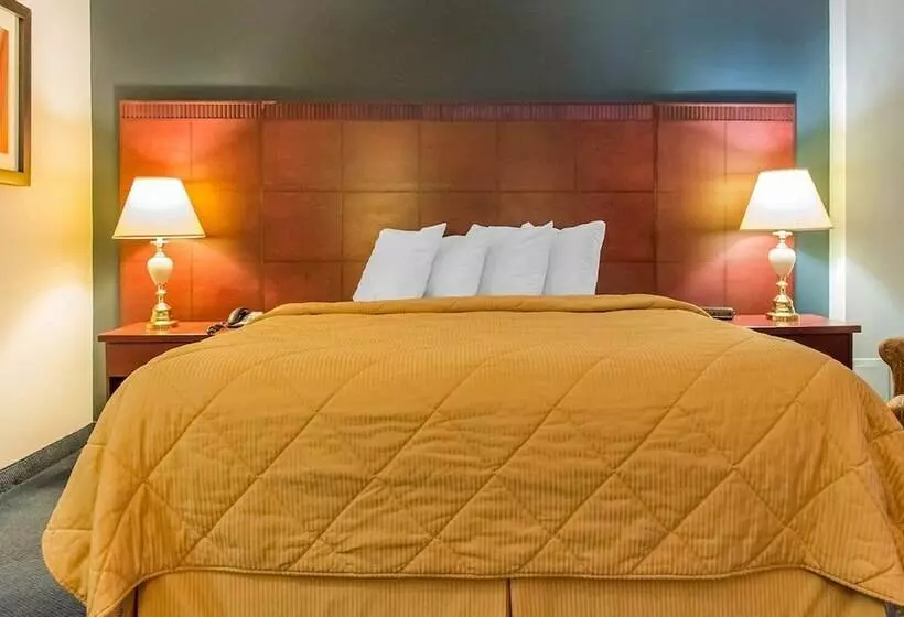 ダブルベッドスタンダードルーム, Econo Lodge