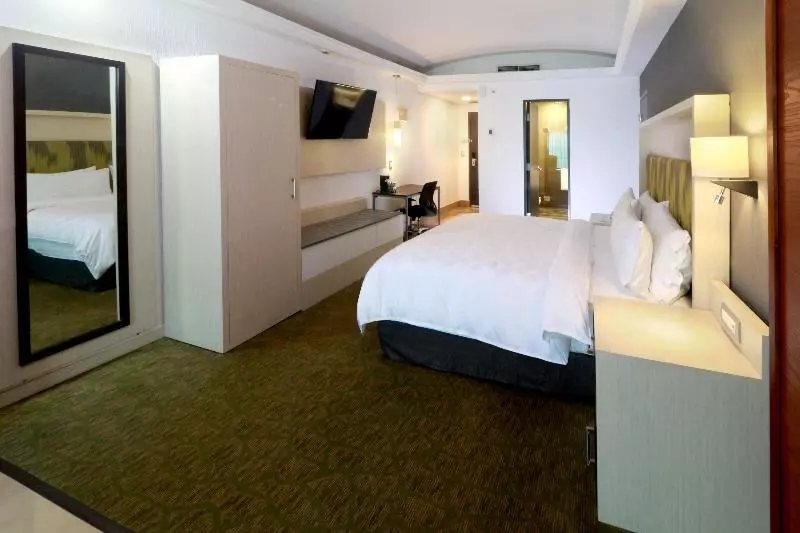 اتاق استاندارد با تخت بزرگ, Holiday Inn Queretaro Zona Diamante, An Ihg