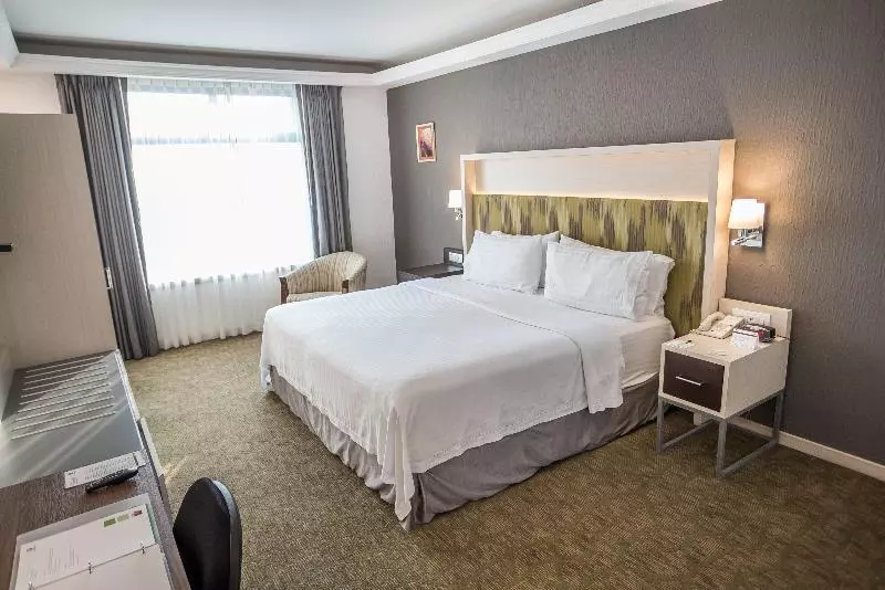 اتاق استاندارد با تخت بزرگ, Holiday Inn Queretaro Zona Diamante, An Ihg