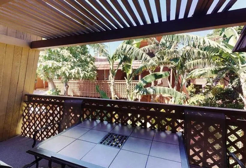 اتاق لوکس خانوادگی, Molokai