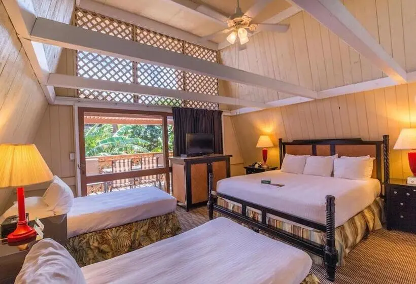 اتاق لوکس خانوادگی, Molokai