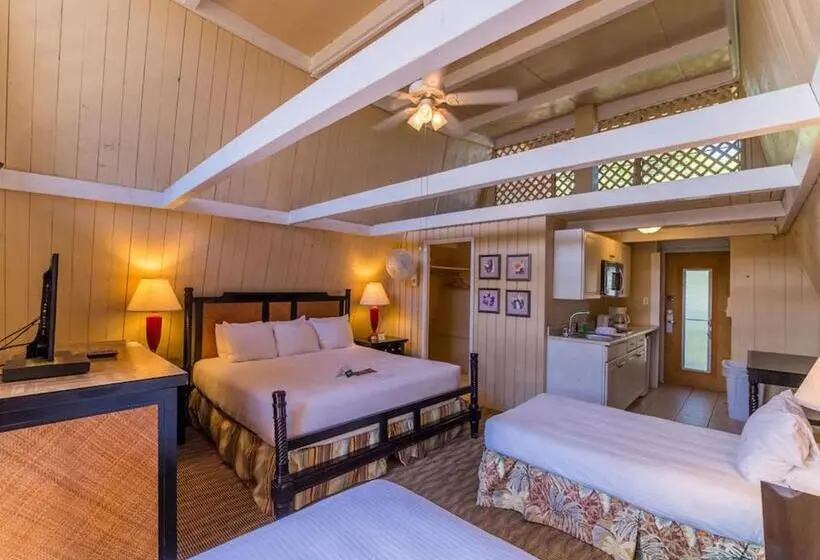 اتاق لوکس خانوادگی, Molokai