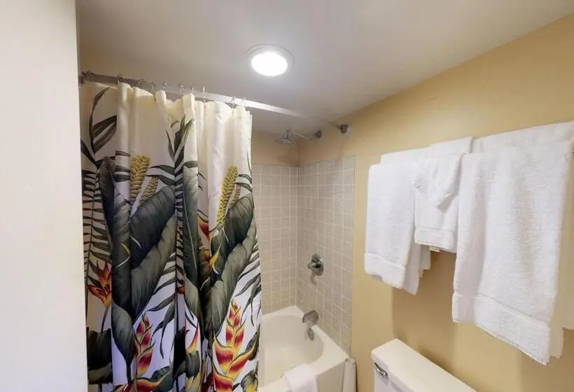 اتاق لوکس خانوادگی, Molokai