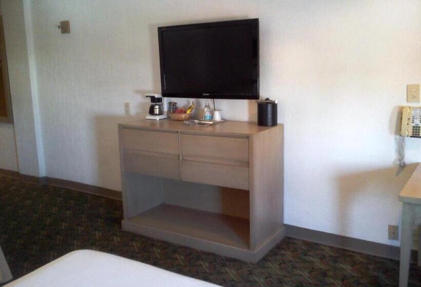 スタンダードルーム, Monterrey Macroplaza