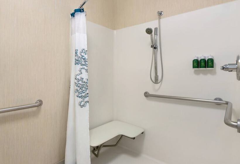 Люкс Адаптированный для Инвалидов, Residence Inn Phoenix Chandler/fashion Center