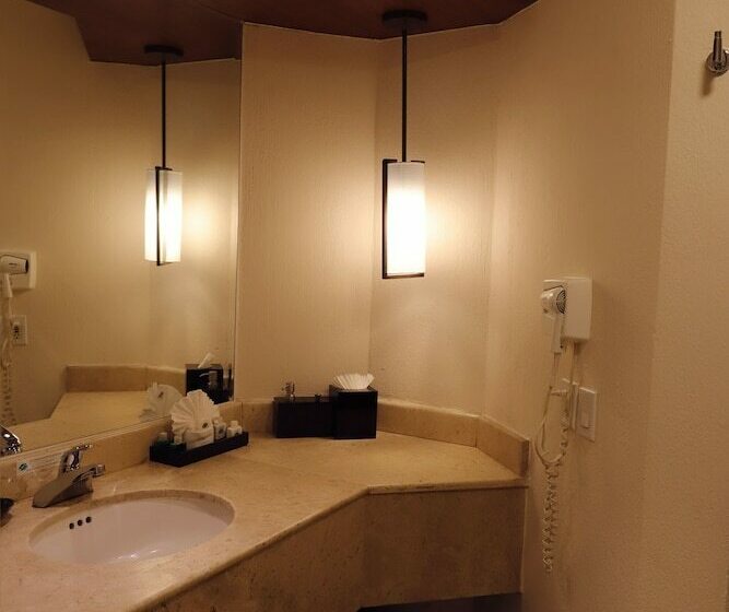 디럭스 룸 바다 전망, Royal Solaris Los Cabos  All Inclusive