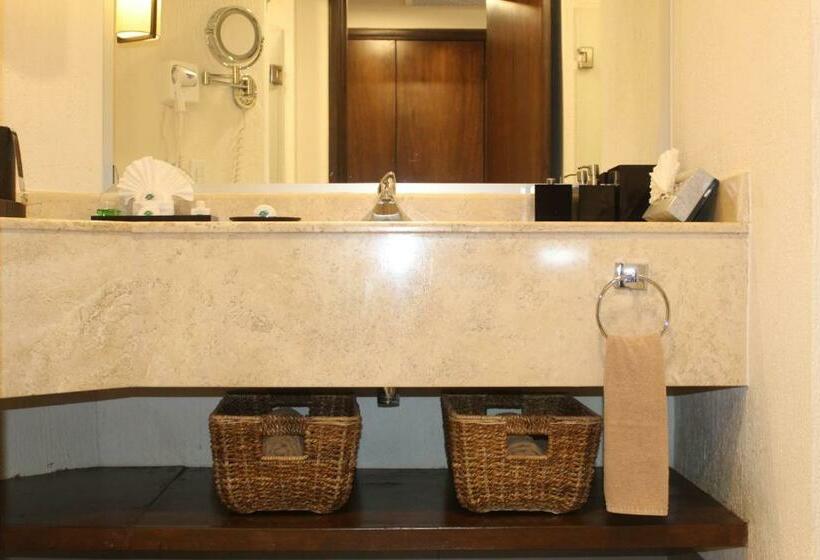 스탠다드 룸 측면 바다 전망, Royal Solaris Los Cabos  All Inclusive