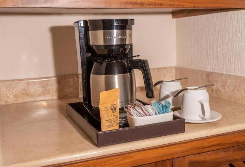 스탠다드 룸 측면 바다 전망, Royal Solaris Los Cabos  All Inclusive