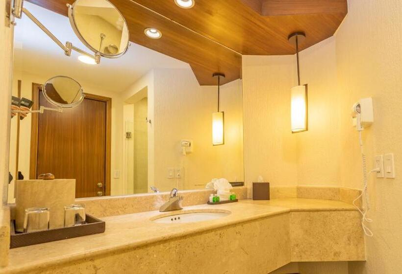 스탠다드 룸 측면 바다 전망, Royal Solaris Los Cabos  All Inclusive