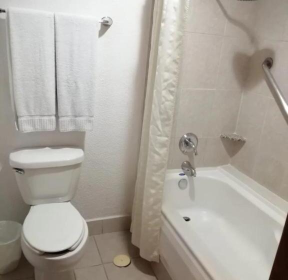 חדר סטודיו סטנדרד, Sea Of Cortez Beach Club