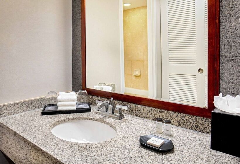 스탠다드 룸 더블 침대 2개, Sheraton Pentagon City