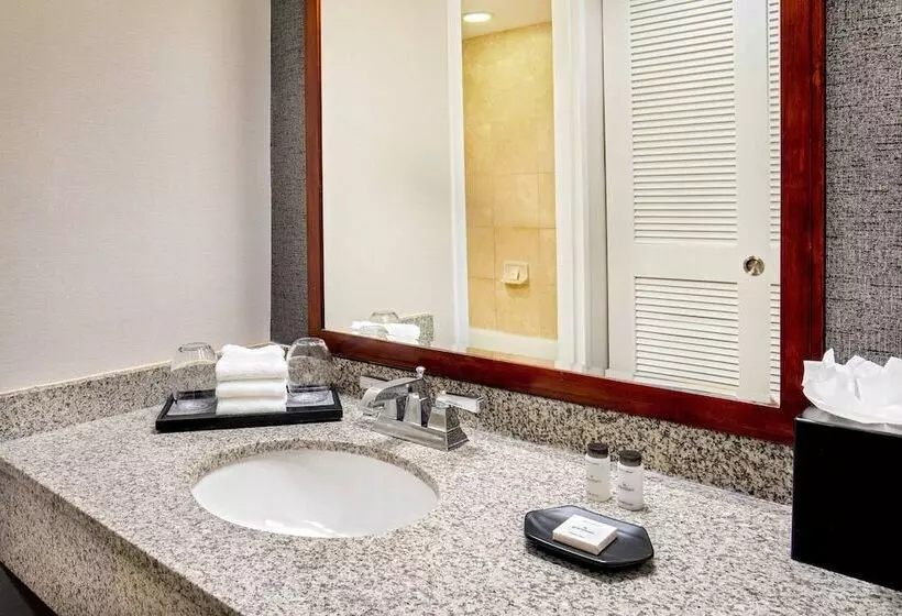 اتاق استاندارد با 2 تخت دوبل, Sheraton Pentagon City