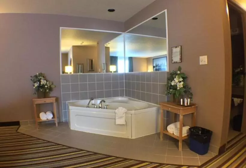 استودیوی لوکس, Super 8 By Wyndham Kenora