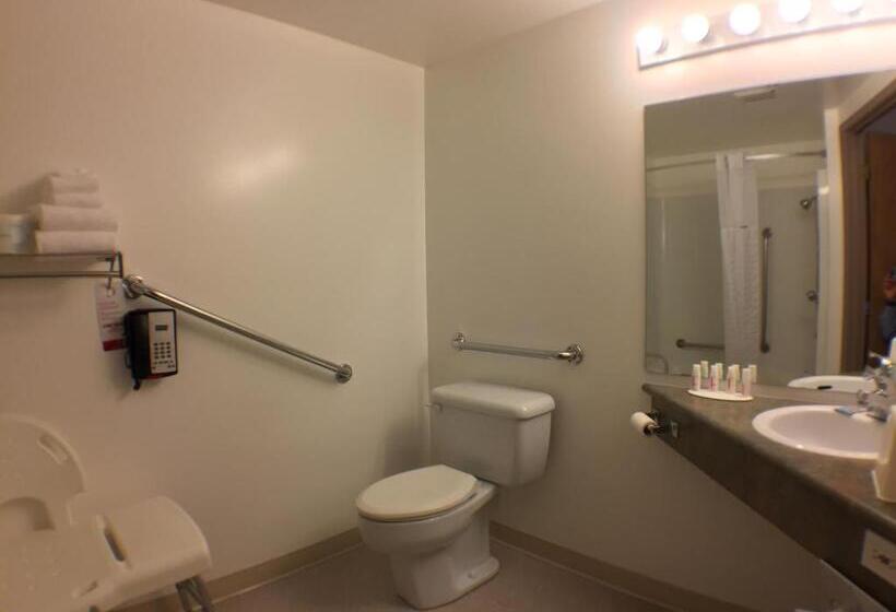 اتاق استاندارد برای معلولان, Super 8 By Wyndham Kenora