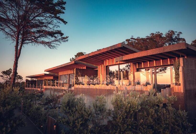 اتاق لوکس با تخت بزرگ, Charm Nature