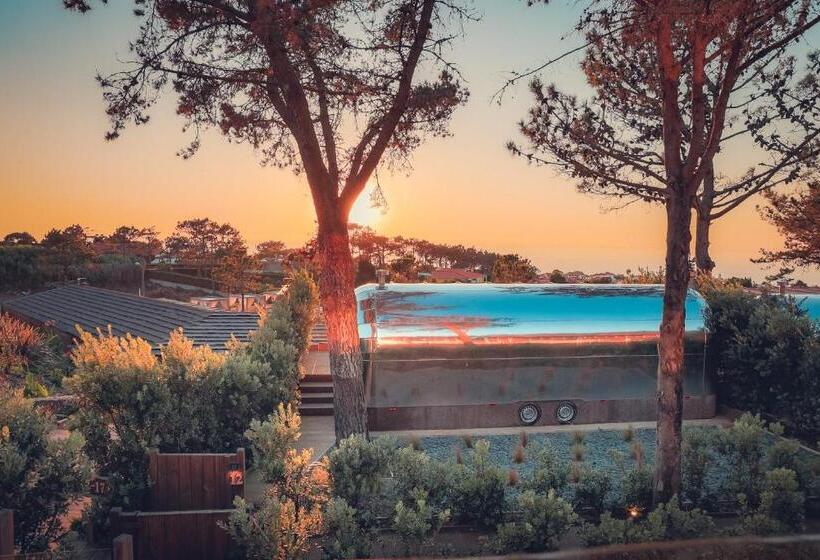 اتاق لوکس با تخت بزرگ, Charm Nature