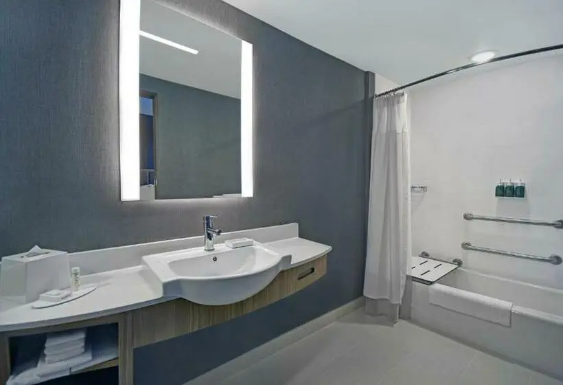 キングサイズベッドのスイートルーム, Springhill Suites By Marriott St. Paul Arden Hills