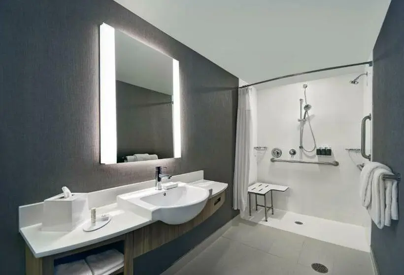 キングサイズベッドのスイートルーム, Springhill Suites By Marriott St. Paul Arden Hills