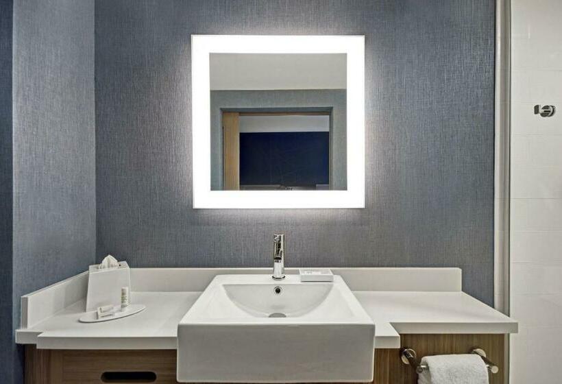 스위트 킹사이즈 침대, Springhill Suites By Marriott St. Paul Arden Hills