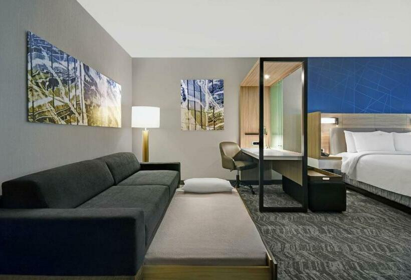 جناح سرير كينج, Springhill Suites By Marriott St. Paul Arden Hills