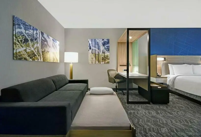 キングサイズベッドのスイートルーム, Springhill Suites By Marriott St. Paul Arden Hills