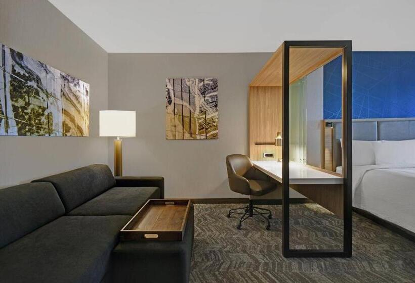 스위트 킹사이즈 침대, Springhill Suites By Marriott St. Paul Arden Hills