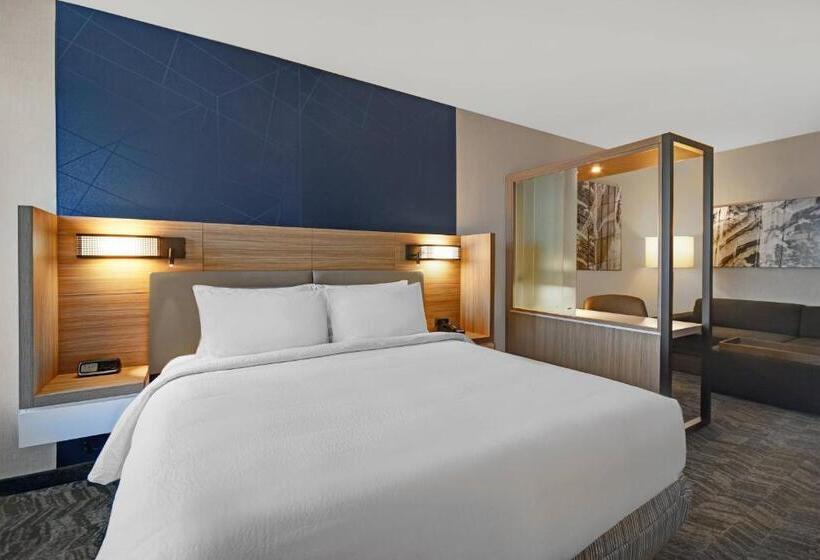 جناح سرير كينج, Springhill Suites By Marriott St. Paul Arden Hills