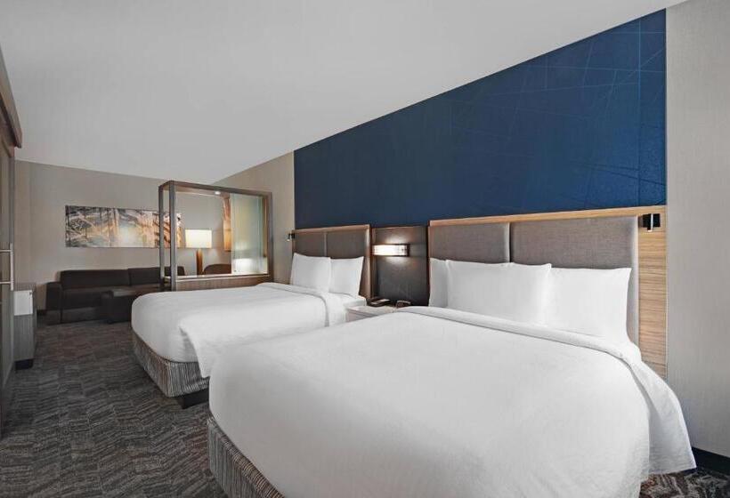 جناح, Springhill Suites By Marriott St. Paul Arden Hills