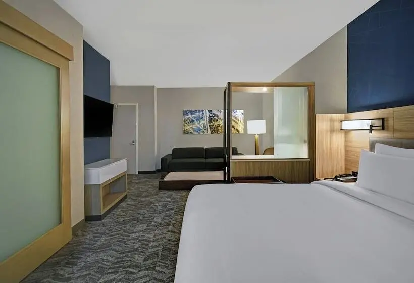 スイート, Springhill Suites By Marriott St. Paul Arden Hills