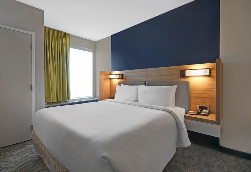 جناح, Springhill Suites By Marriott St. Paul Arden Hills