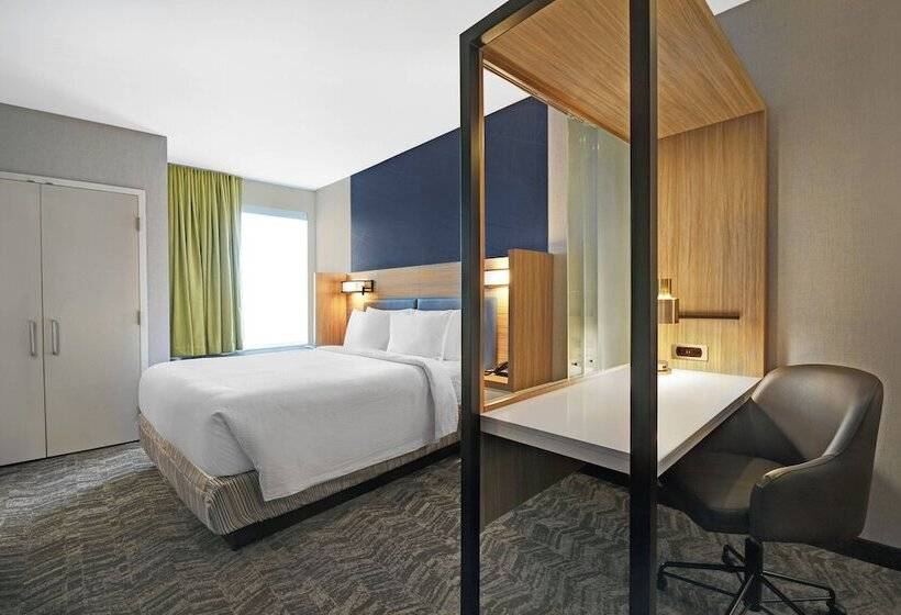 스위트, Springhill Suites By Marriott St. Paul Arden Hills
