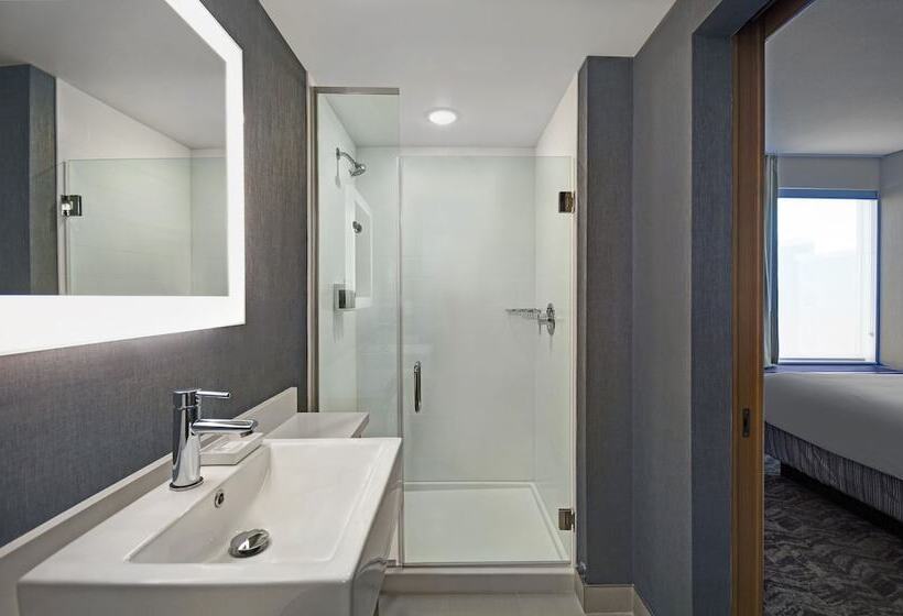스위트, Springhill Suites By Marriott St. Paul Arden Hills