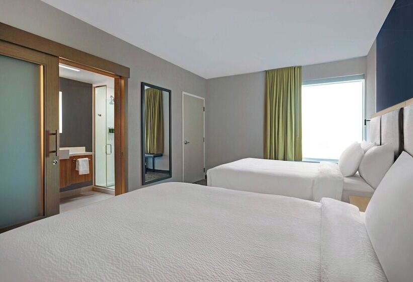 جناح, Springhill Suites By Marriott St. Paul Arden Hills