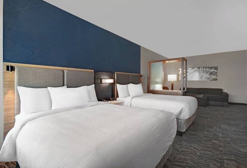 جناح, Springhill Suites By Marriott St. Paul Arden Hills
