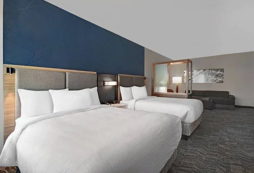 スイート, Springhill Suites By Marriott St. Paul Arden Hills