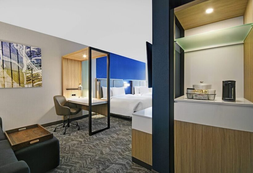 스위트, Springhill Suites By Marriott St. Paul Arden Hills