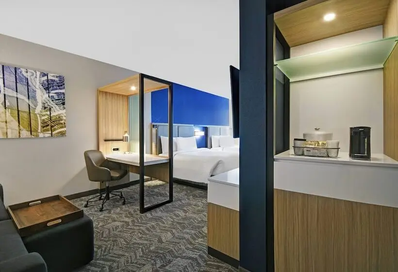 スイート, Springhill Suites By Marriott St. Paul Arden Hills