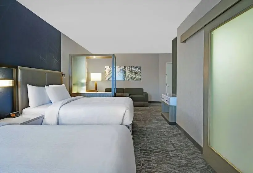 スイート, Springhill Suites By Marriott St. Paul Arden Hills