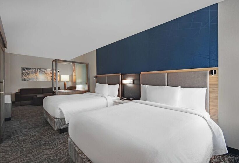 스위트, Springhill Suites By Marriott St. Paul Arden Hills