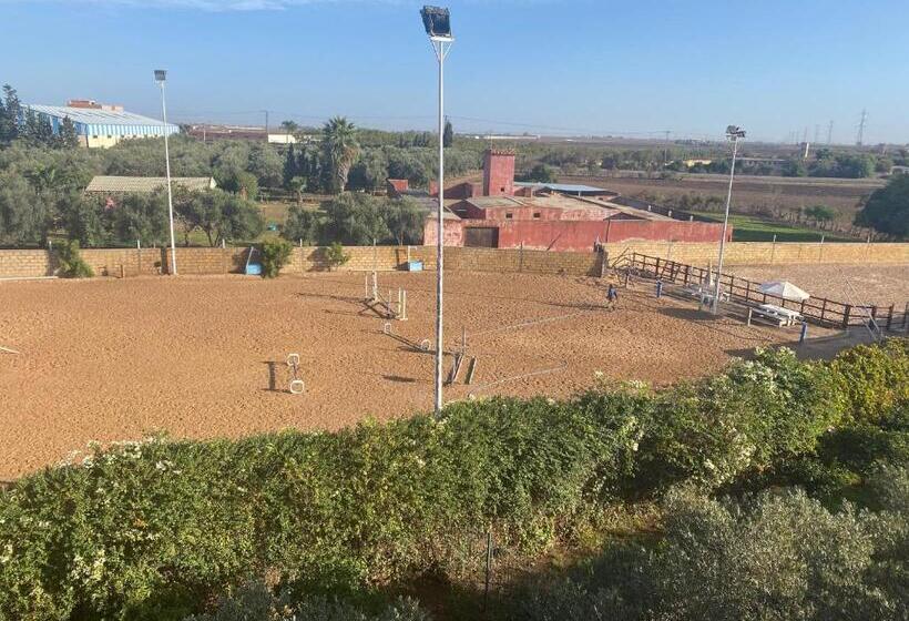 Люкс Вид на Бассейн, Equi Palace & Spa Near Aeroport