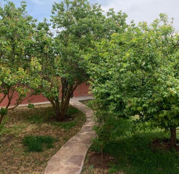 Family Suite, Equi Palace & Spa Near Aeroport