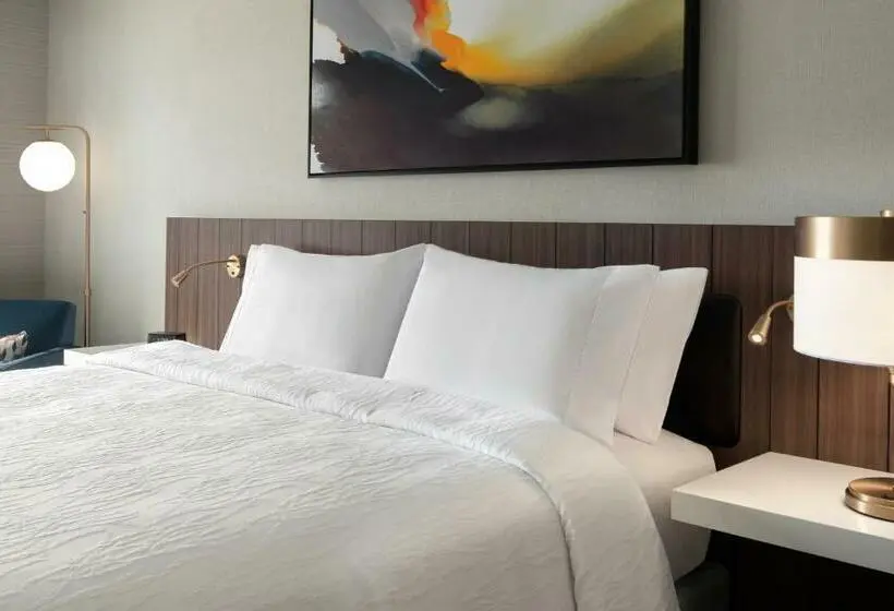 身障者適用キングサイズベッドルーム, Hilton Garden Inn Camden Waterfront Philadelphia
