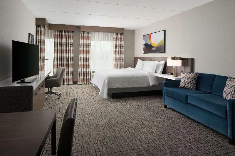 身障者適用キングサイズベッドルーム, Hilton Garden Inn Camden Waterfront Philadelphia