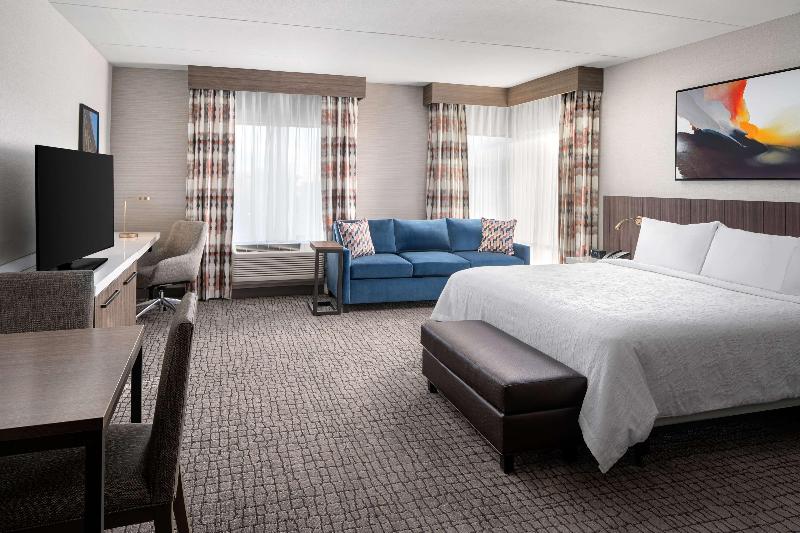 غرفة قياسية سرير كينج لذوى الإحتياجات الخاصة, Hilton Garden Inn Camden Waterfront Philadelphia