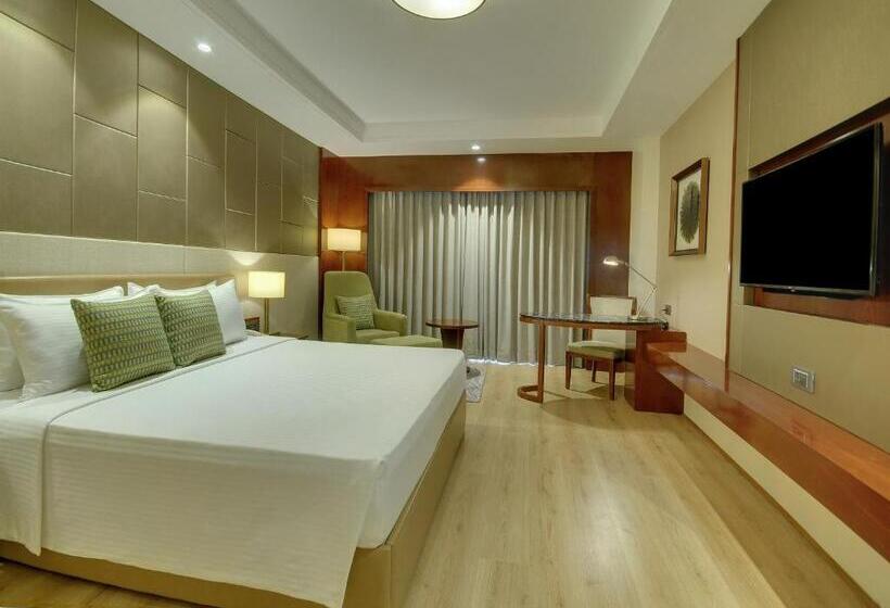 エクゼクティブルーム, Lemon Tree Premier, Dwarka