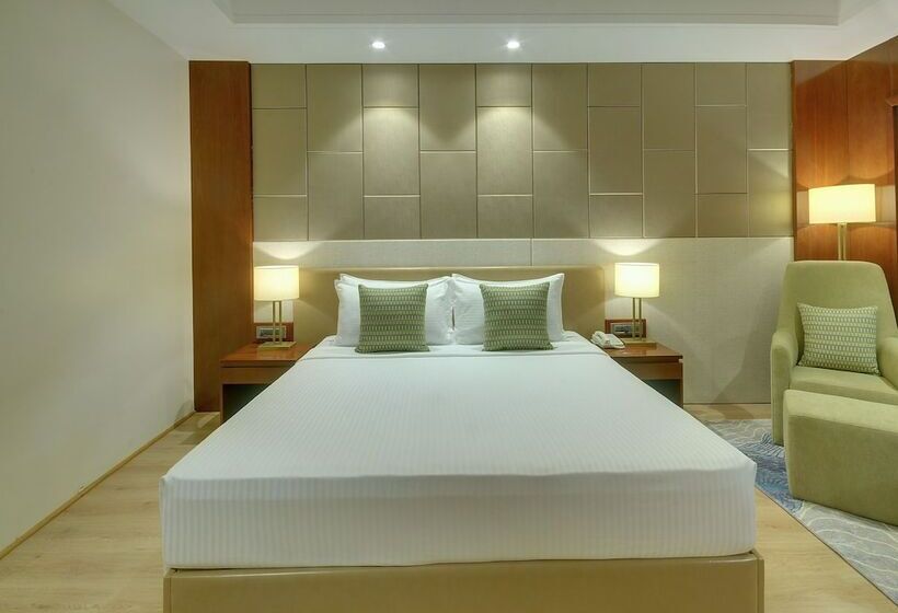 エクゼクティブルーム, Lemon Tree Premier, Dwarka