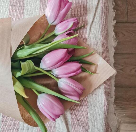 اتاق استاندارد, Step To Kotor Bay Guesthouse