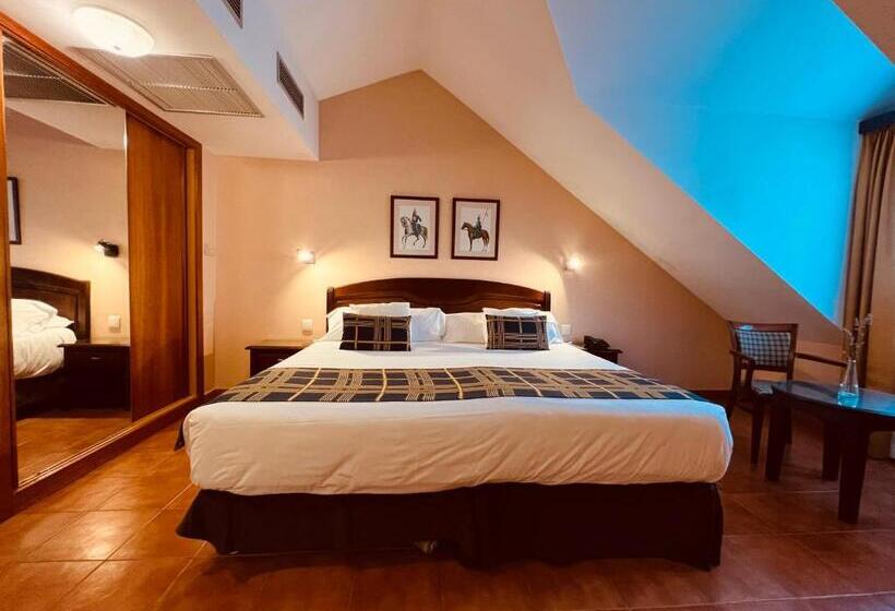 Номер Superior, Hospedium Hotel Los Lanceros