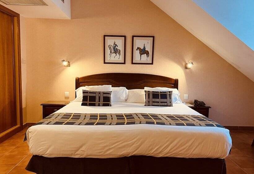 اتاق سوپریور, Hospedium Hotel Los Lanceros